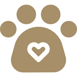Pet Taxi